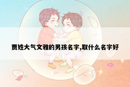 贾姓大气文雅的男孩名字,取什么名字好